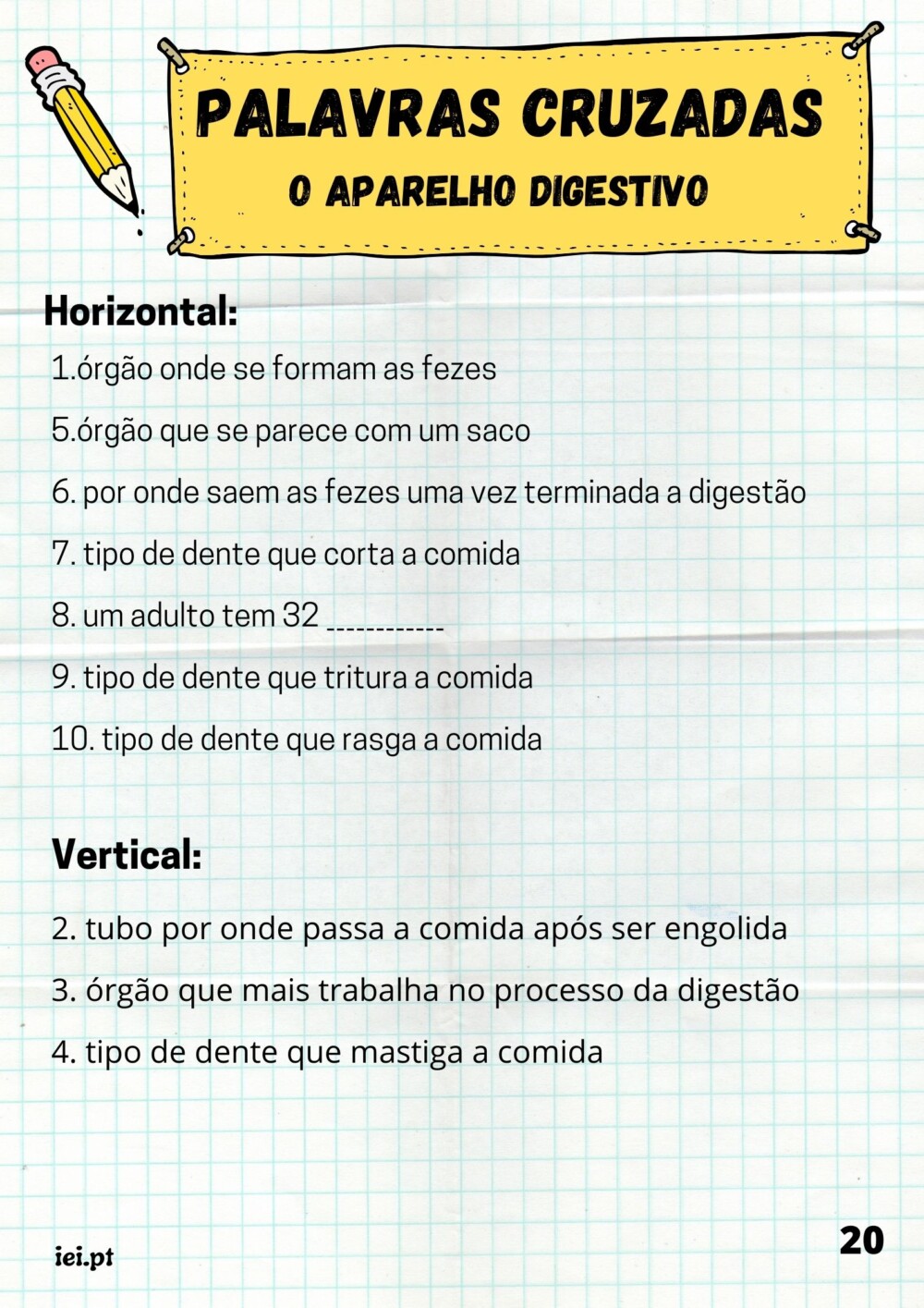 O sistema digestivo - Image 7